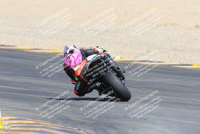 media/Mar-10-2024-SoCal Trackdays (Sun) [[6228d7c590]]/9-Turn 8 Backside (1150am)/